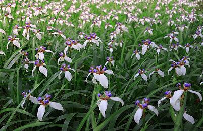 新《VR女友》延期至今夏 打磨游戏提高品质