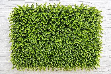 《最终幻想起源：天堂的陌生人》试玩满意度达70%